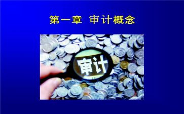 审计员的工作总结最新6篇