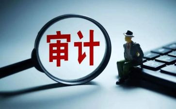 审计员年度总结通用8篇