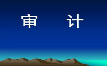 审计员的工作总结优秀5篇