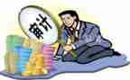 审计股工作计划参考5篇