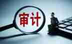 审计员年度总结通用8篇