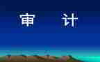审计员的工作总结优秀5篇