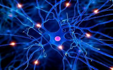 神经内科护理工作总结8篇