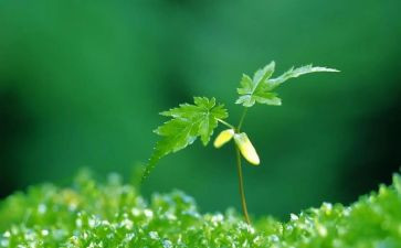 让我印象深刻的事作文6篇