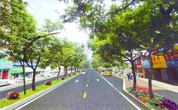 社区自我鉴定参考6篇