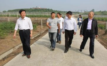 学习视察讲话精神心得体会5篇