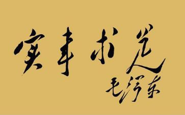 为群众办实事工作总结5篇