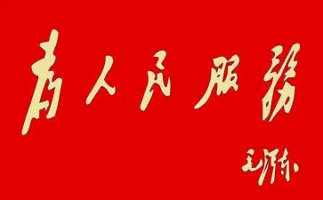 为群众办实事工作总结参考8篇