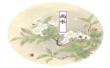 十四运的开幕式观后感7篇
