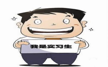 实习生工作总结精选5篇