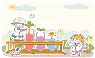 对实验的心得体会优秀6篇