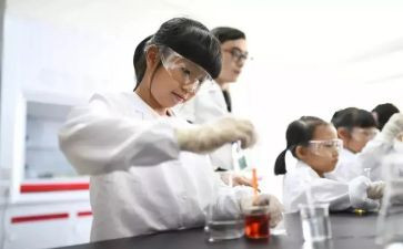 机设实验心得体会最新8篇
