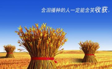 我的收获作文600字7篇