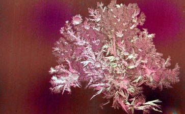 露和霜教案教学反思通用6篇