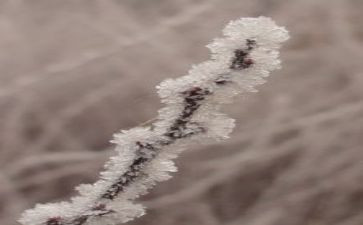 露和霜教案教学反思参考8篇