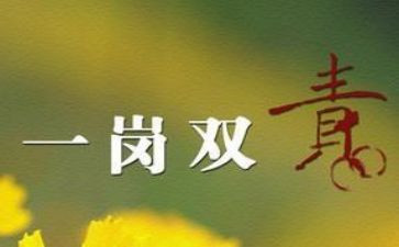 一岗双责工作报告8篇