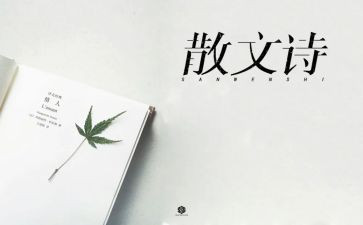 抒情的作文800字8篇