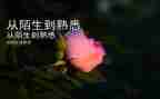 作文最熟悉的人300字精选7篇