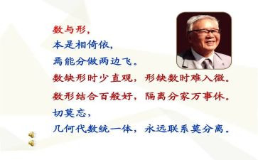 《数与形》教学反思8篇