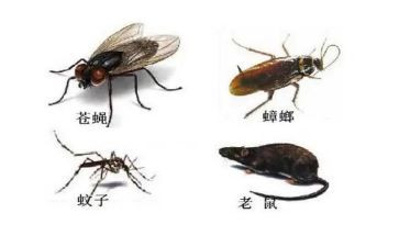除四害的工作总结通用5篇