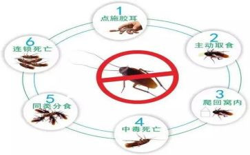 村除四害工作计划7篇