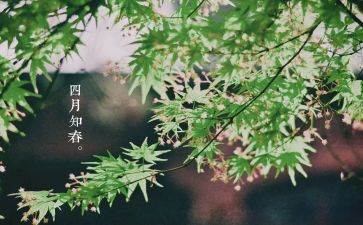 2024年四月的思想汇报6篇
