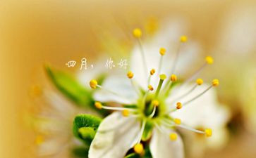 幼儿园小班四月工作计划5篇