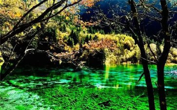 大班四月份工作总结5篇