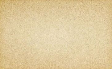 素材加范文作文通用5篇