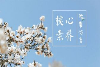 教师素养心得体会推荐6篇