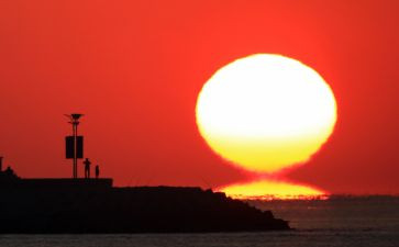大班音乐种太阳教案7篇