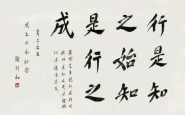陶行知心得体会优质8篇