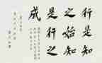 游陶行知心得体会8篇