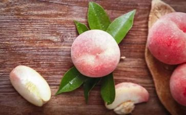 种桃子树的作文5篇