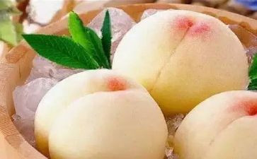 种桃子树的作文模板6篇