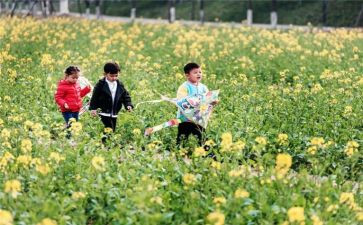 踏青游活动策划6篇