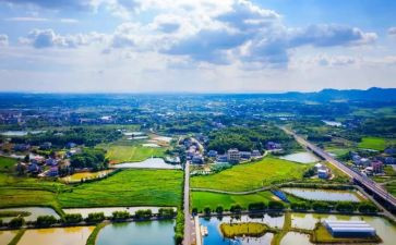 特岗教师转正个人述职报告7篇