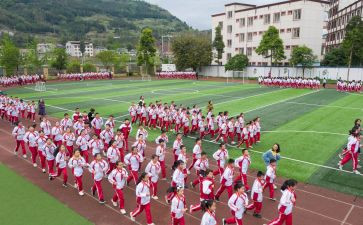 球体育活动教案最新8篇