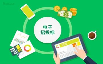 2024年投标工作总结范文8篇