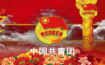 院优秀团干部主要事迹参考6篇