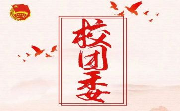 分团委工作计划模板6篇