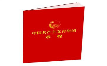 团章学心得体会8篇
