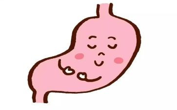 爱护胃宝宝教案5篇
