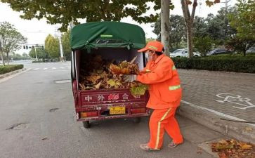 社区爱国卫工作计划6篇