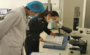 卫生站工作总结报告7篇