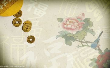 藏文化心得体会5篇