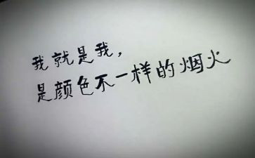 我就是我作文500字8篇