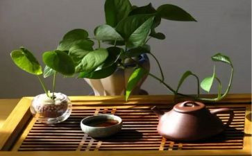 我们的心近了作文500字8篇