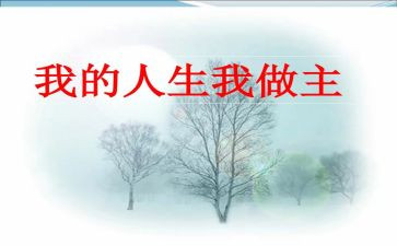 我做主作文500字5篇
