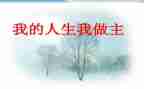 我做主作文500字5篇